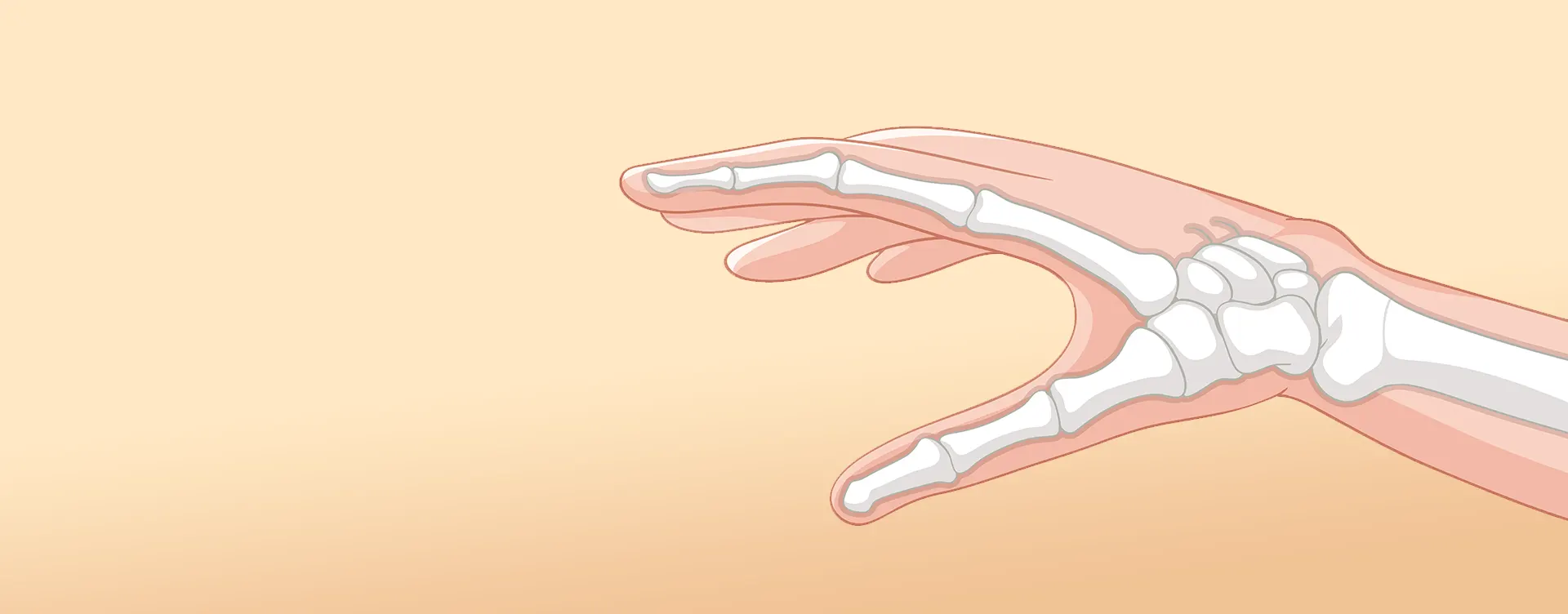 Joints of Hand Banner